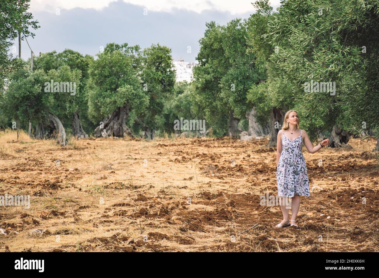 Bionda capelli ragazza che cammina in un bellissimo campo agricolo secolare ulivi simile a una scultura in autunno Foto Stock