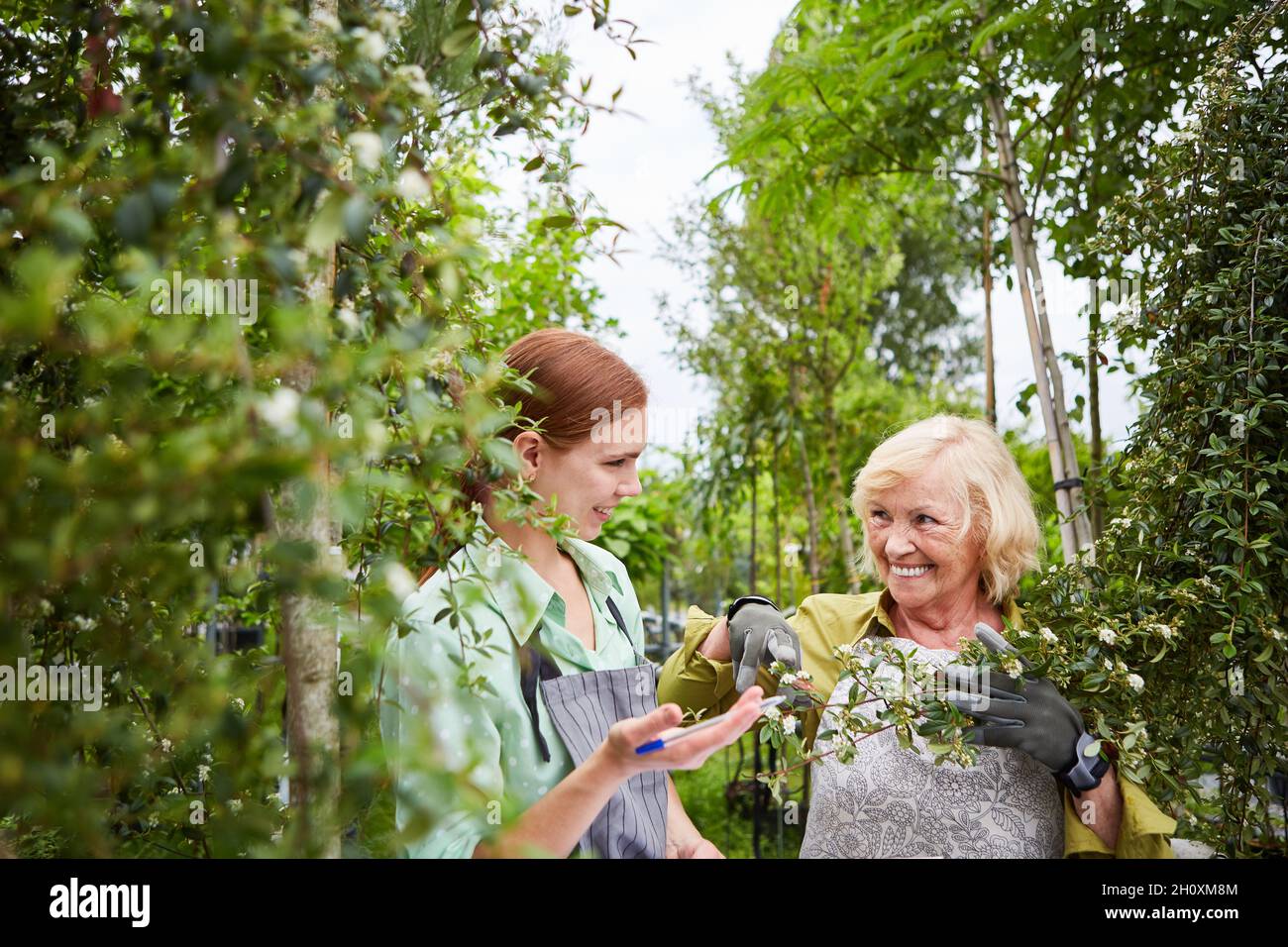 Giovane donna come tirocinante giardiniere e collega anziano che si prende cura degli alberi nella stanza dei bambini Foto Stock