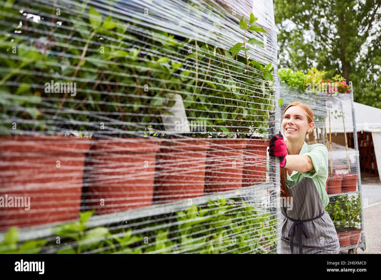 La giovane donna come tirocinante del giardiniere spinge un carrello della mensola con la consegna del fiore Foto Stock