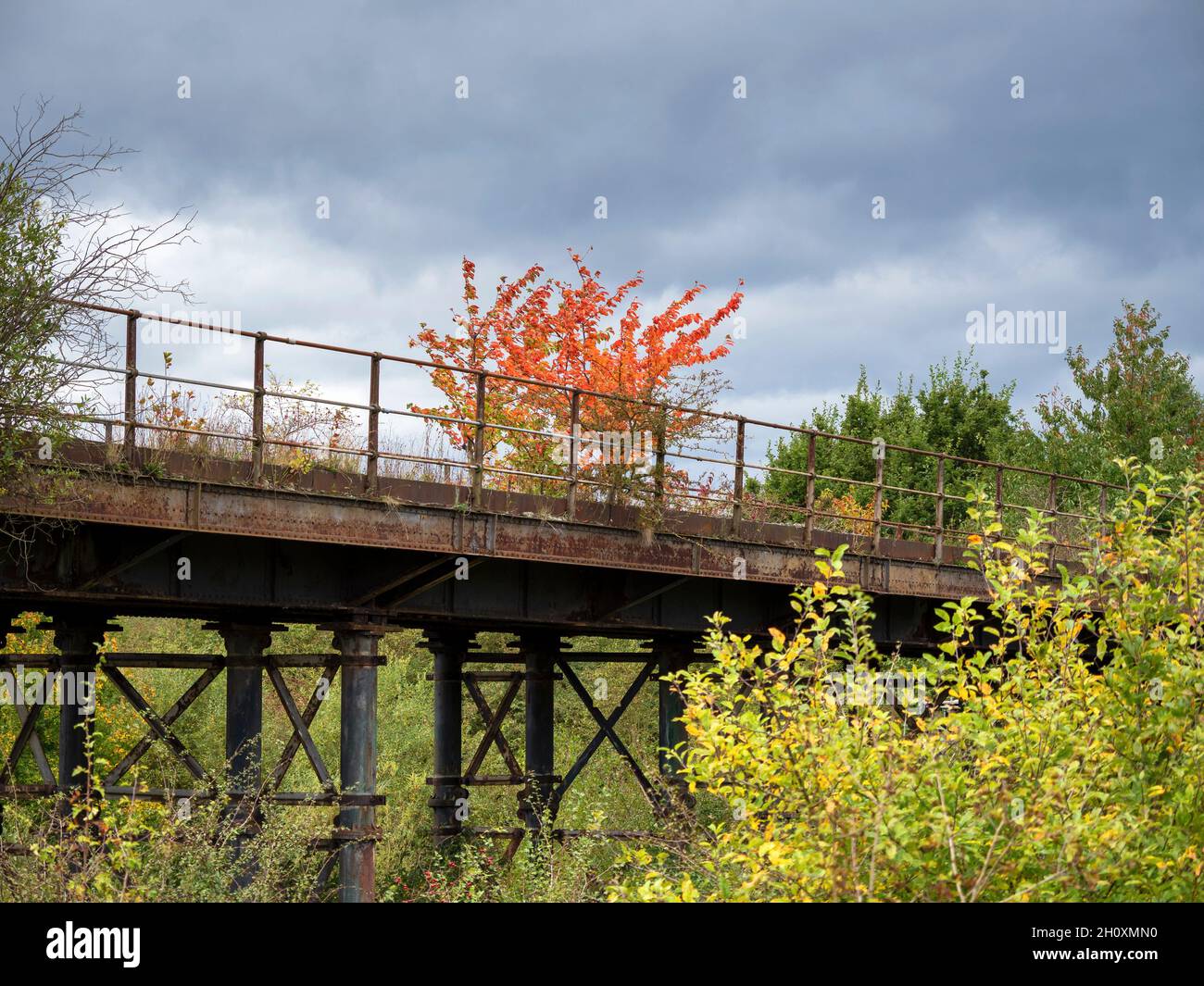 Colori autunnali e una linea ferroviaria disutilizzata a Fairburn Ings, West Yorkshire, Inghilterra Foto Stock