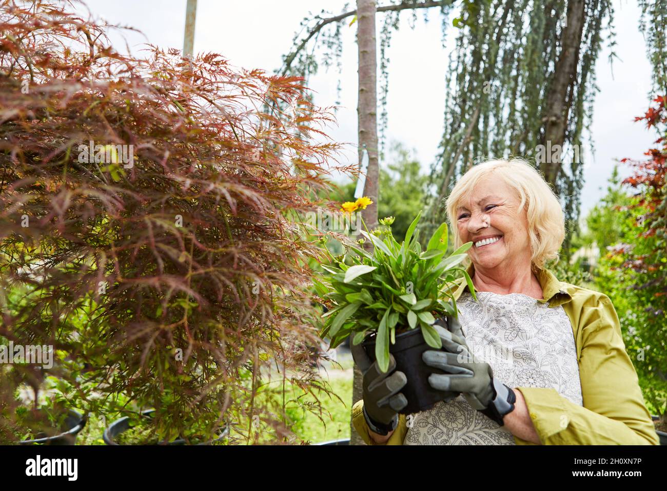 Donna anziana come un giardiniere soddisfatto con un fiore per il repotting nella stanza dei bambini Foto Stock
