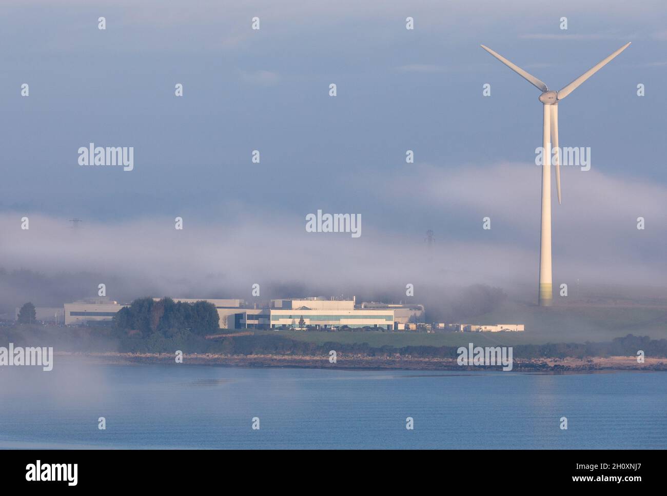 Loughbeg, Ringaskiddy, Cork, Irlanda. 15 ottobre 2021. La nebbia al mattino presto copre l'impianto di maniacizzazione Johnson & Johnson a Loughbeg, Ringaskiddy, Co. Cork, Irlanda. - Foto; David Creedon / Alamy Live News Foto Stock