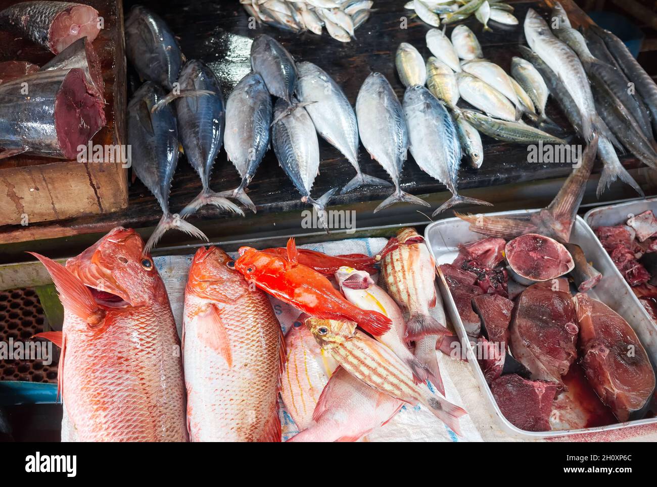 Pesce fresco in un mercato locale a Hikkaduwa, Sri Lanka. Foto Stock