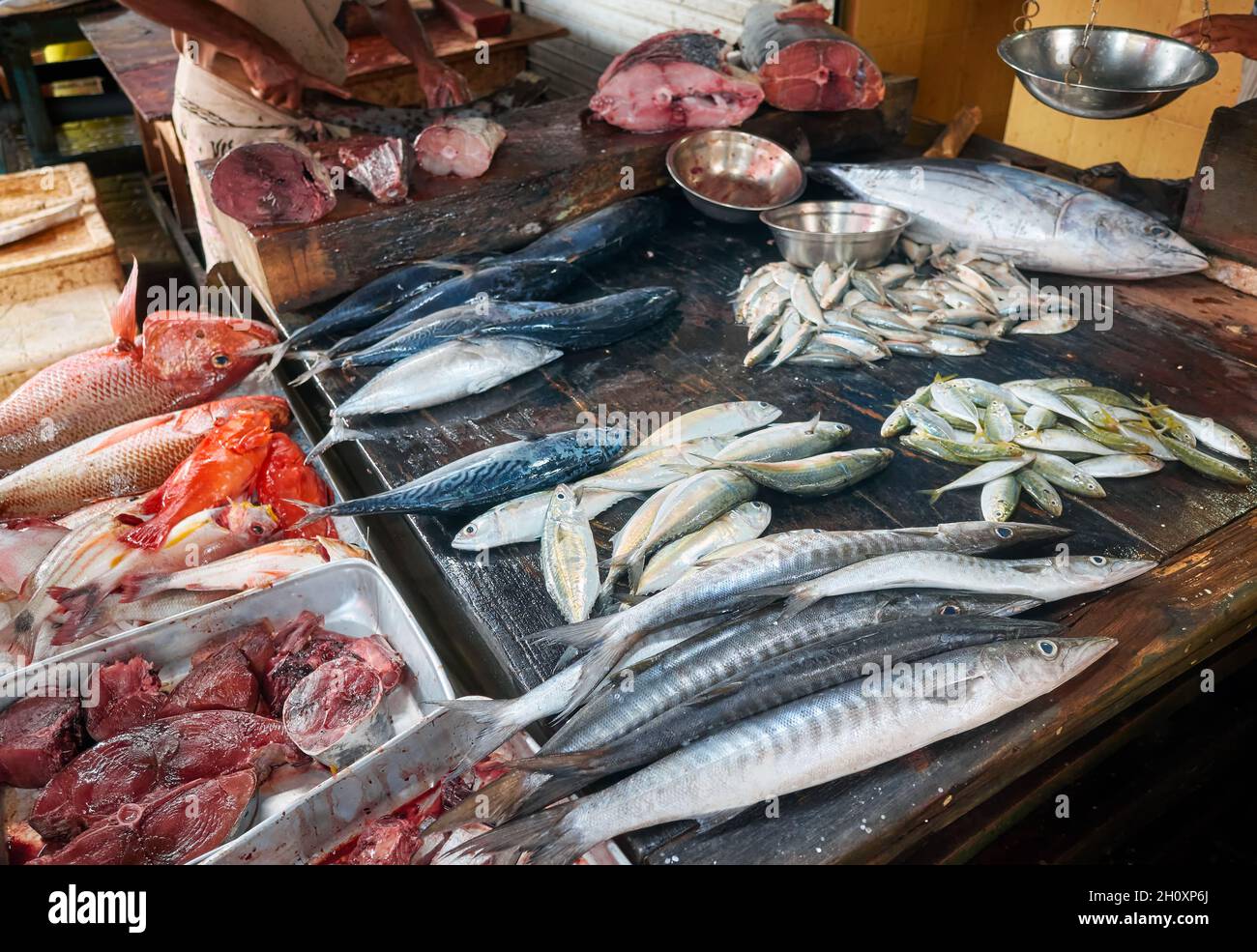 Pesce fresco al mercato in Colombo, Sri Lanka. Foto Stock