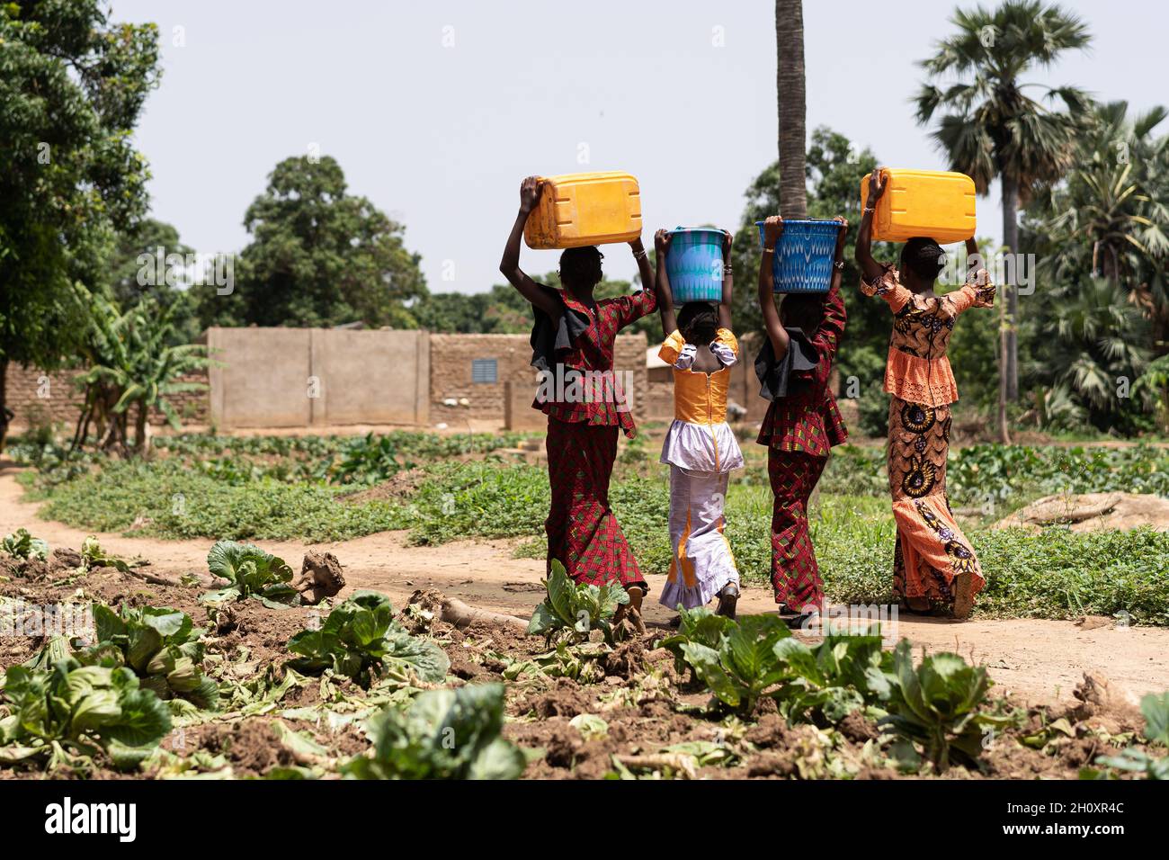 Gruppo di giovani ragazze nere dell'Africa occidentale che trasportano contenitori di acqua pesante sulla loro testa; concetto di lavoro del bambino Foto Stock