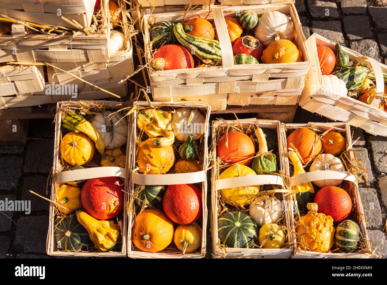 Kürbisse auf einem Herbstmakt im Oktober Foto Stock