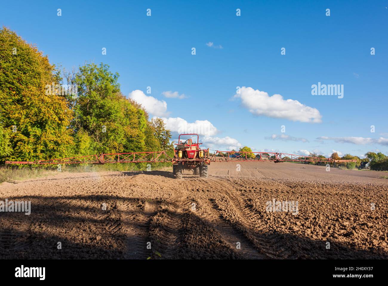 Ein Bauer mit Trecker bestellt sein Feld im Herbst nach der Ernte Foto Stock
