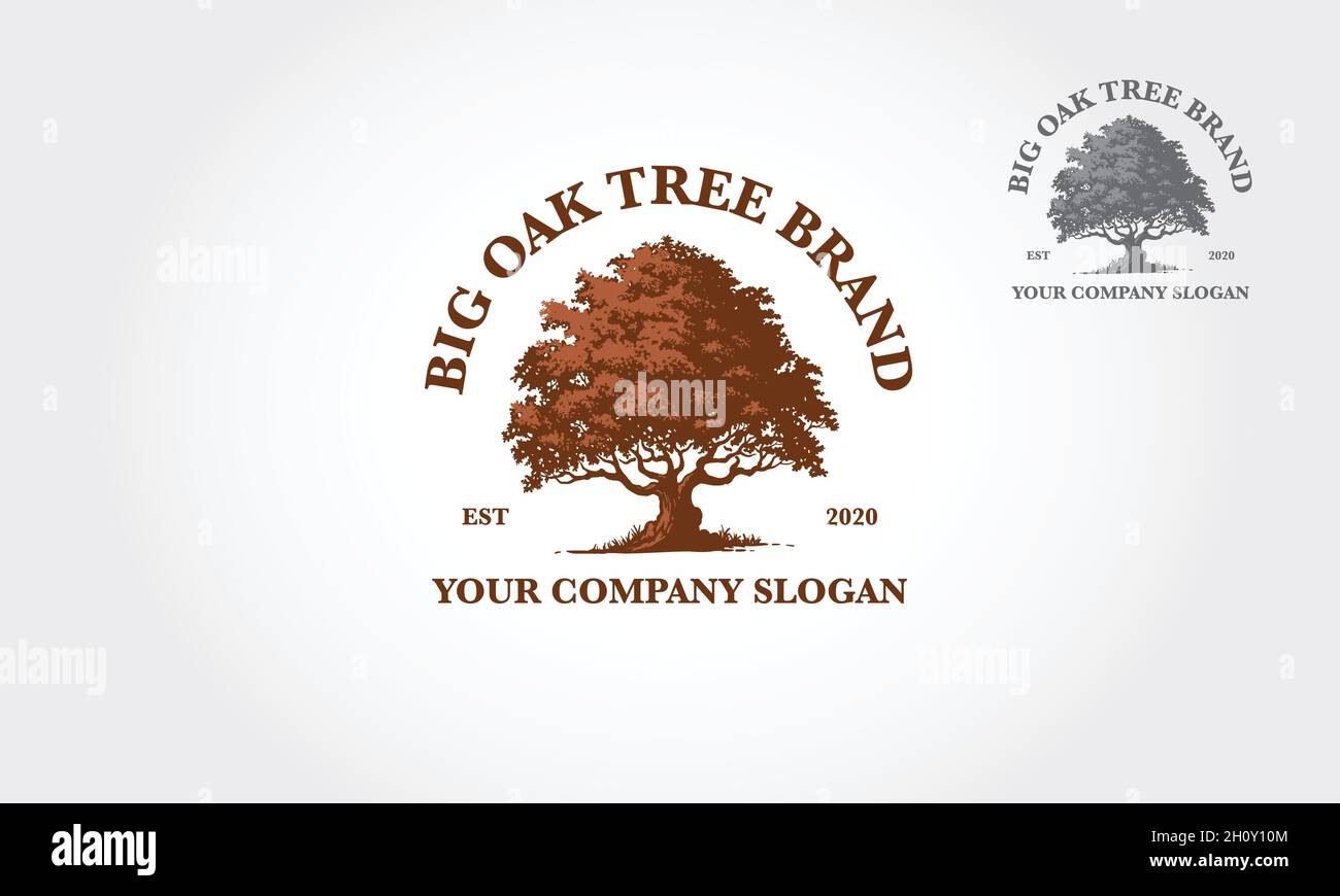 Logo Big Oak Tree Vector. Questo logo simbolo di forza, potere, longevità, libertà, fertilità, speranza e continuità. Adatto per studi di grafica. Illustrazione Vettoriale