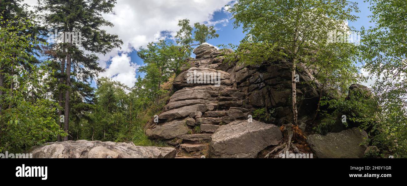 Rock nella foresta - monumento naturale Nine Rocks - Devet skal, Zdarske vrchy in Vysocina, Repubblica Ceca Foto Stock