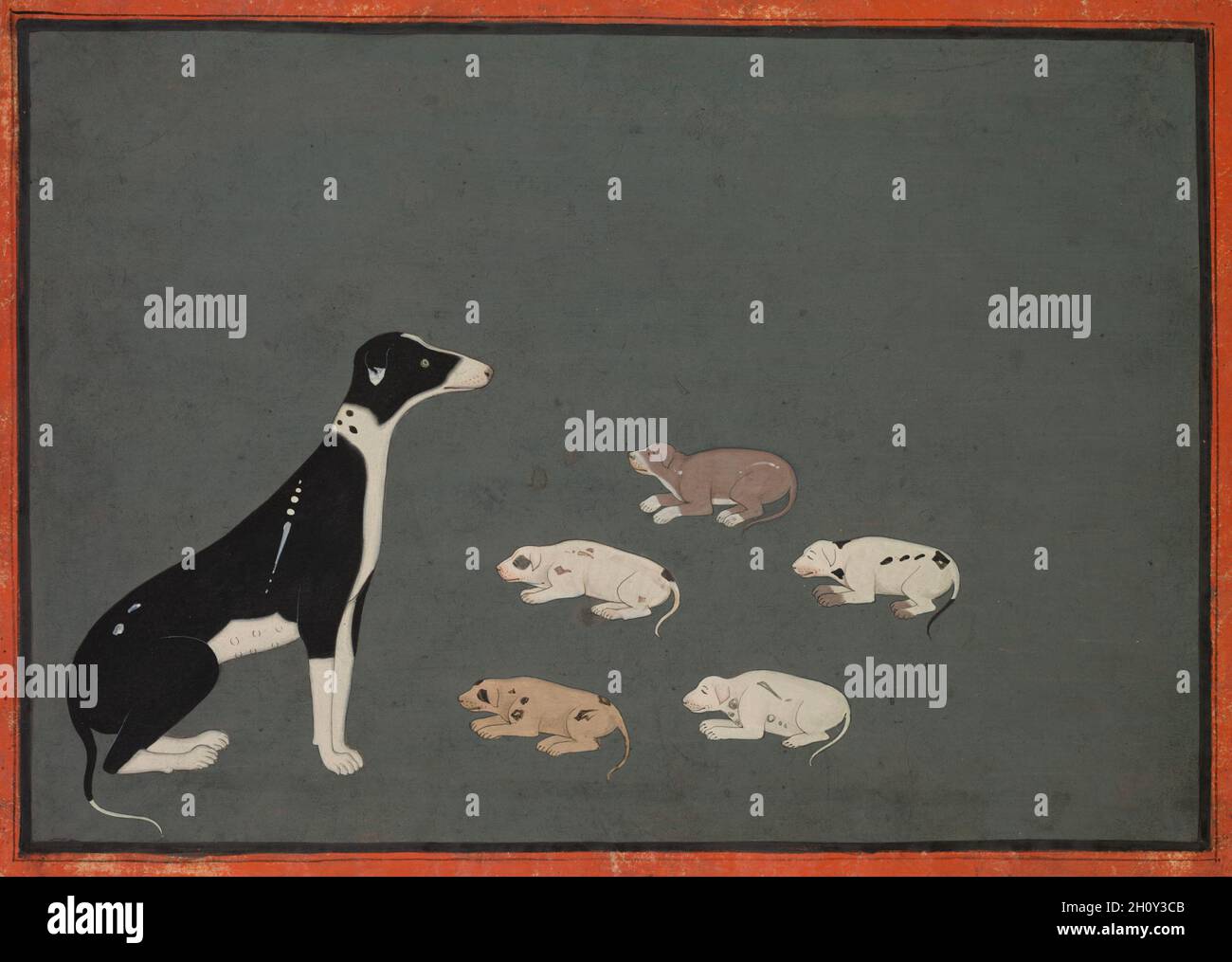Cane con cuccioli, c.. 1780. India, Rajasthan, Ajmer, probabilmente scuola Sawar, 18 ° secolo. Inchiostro e acquerello opaco sulla carta; immagine: 22 x 16.5 cm (8 11/16 x 6 1/2 pollici); totale: 18.7 x 25 cm (7 3/8 x 9 13/16 pollici). I cani sono stati tenuti nel palazzo imperiale di Mughal e curati con attenzione da un custode ogni due cani da caccia. La biografia di Akbar nota che all’imperatore piacevano tanto i cani che importava razze diverse da terre lontane, e Jahangir chiedeva cani da caccia inglesi all’ambasciatore Sir Thomas Roe. La tradizione di raccogliere e tenere cani è stata proseguita dagli imperatori successivi a. Foto Stock