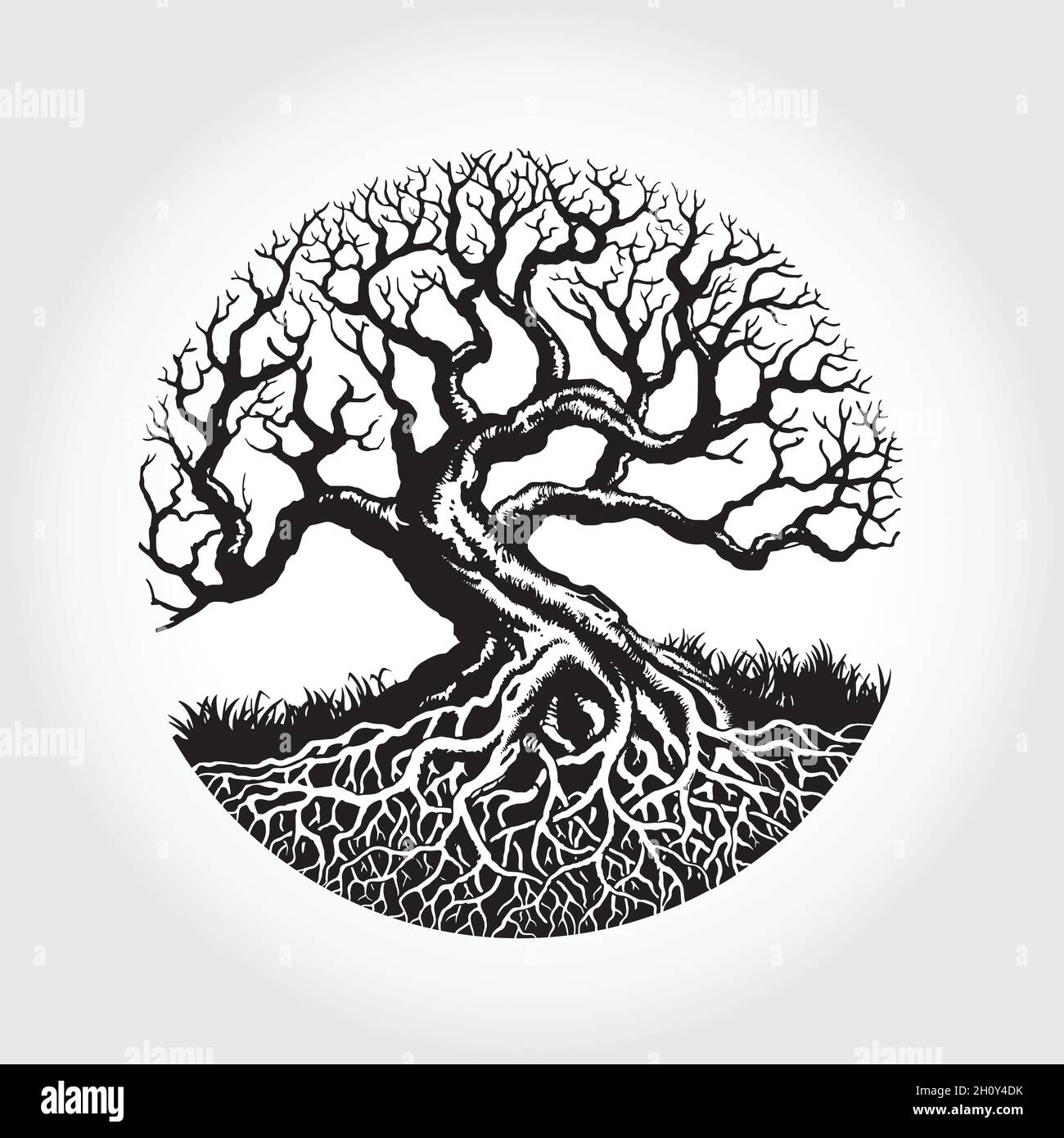 Illustrazione del vettore della radice dell'albero. Illustrazione di una bella pianta. Illustrazione Vettoriale