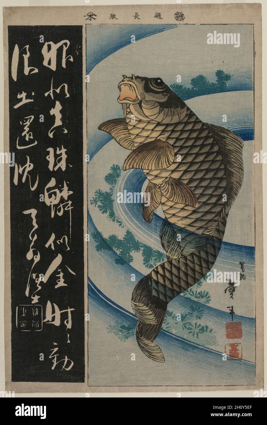 La carpa e waterweeds, c. primi 1830s. Katsushika Taito II (giapponese, attivo c. 1810-50s). Colore stampa woodblock; foglio: 38,4 x 25,8 cm (15 1/8 x 10 3/16 in.). Foto Stock