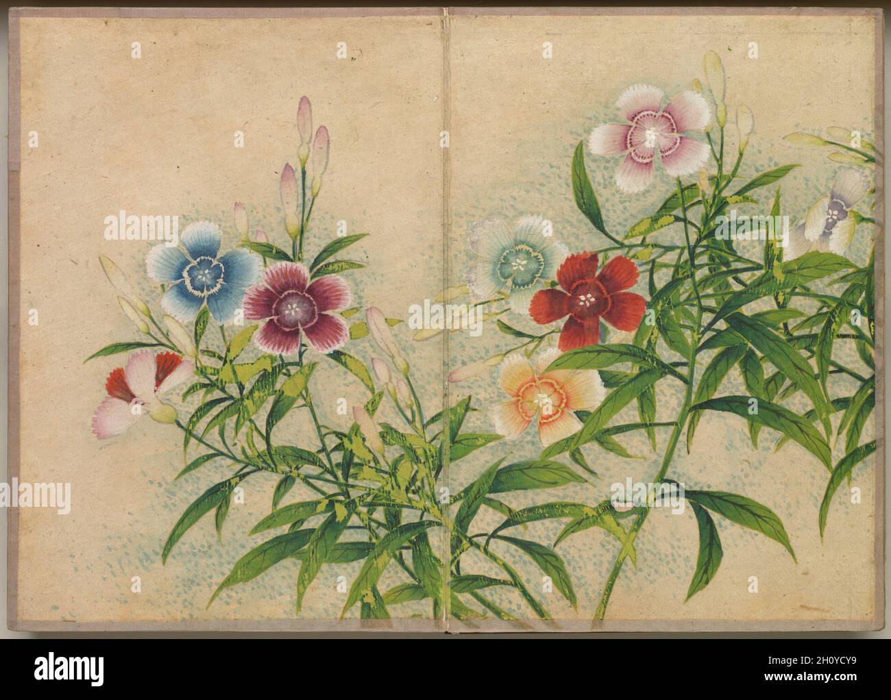 Album da scrivania: Dipinti di fiori e uccelli (Pink), 18 ° secolo. Zhang Ruoai (cinese, 1713-1746). Copertina album, inchiostro e colore su carta; immagine: 14.4 x 20.3 cm (5 11/16 x 8 pollici); album, chiuso: 15 x 10.8 x 3 cm (5 7/8 x 4 1/4 x 1 3/16 pollici). Foto Stock