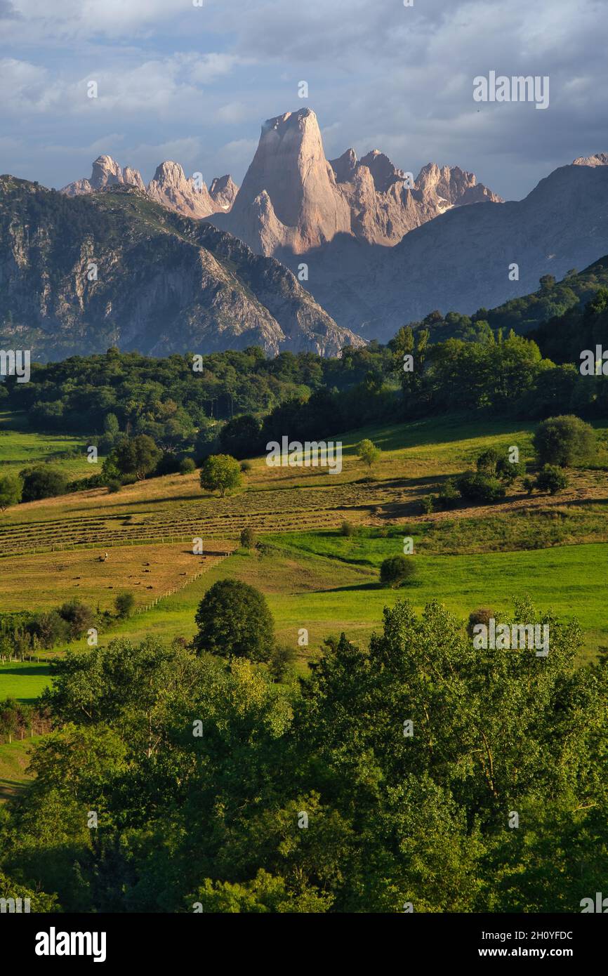 Bella scena di montagne, pascoli verdi sotto un cielo blu nuvoloso a Naranjo de Bulnes, Spagna Foto Stock