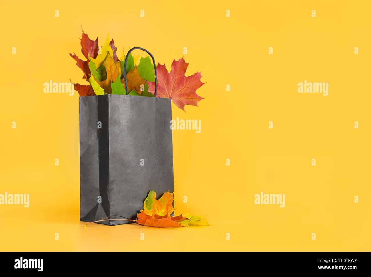 L'autunno lascia in un sacchetto su sfondo arancione. Composizione stagionale per layout, modello con luogo per testo. Concetto - Vendita d'autunno, viaggio di shopping. Foto Stock L'autunno lascia in un sacchetto su sfondo arancione. Composizione stagionale per layout, modello con luogo per testo. Concetto - Vendita d'autunno, viaggio di shopping. Foto Stock