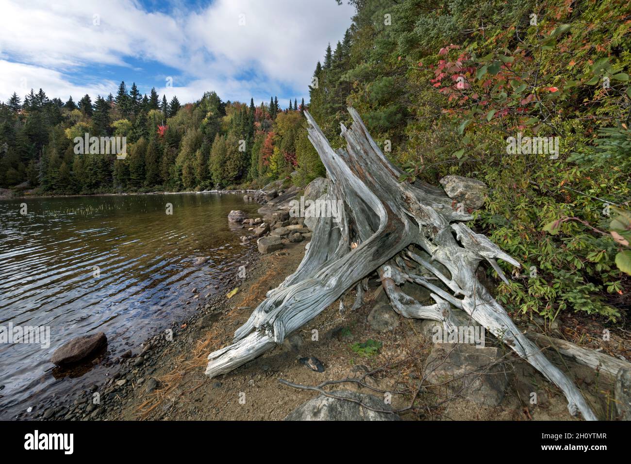 Canada, Quebec, Mauricie NP, lago Caribou Foto Stock