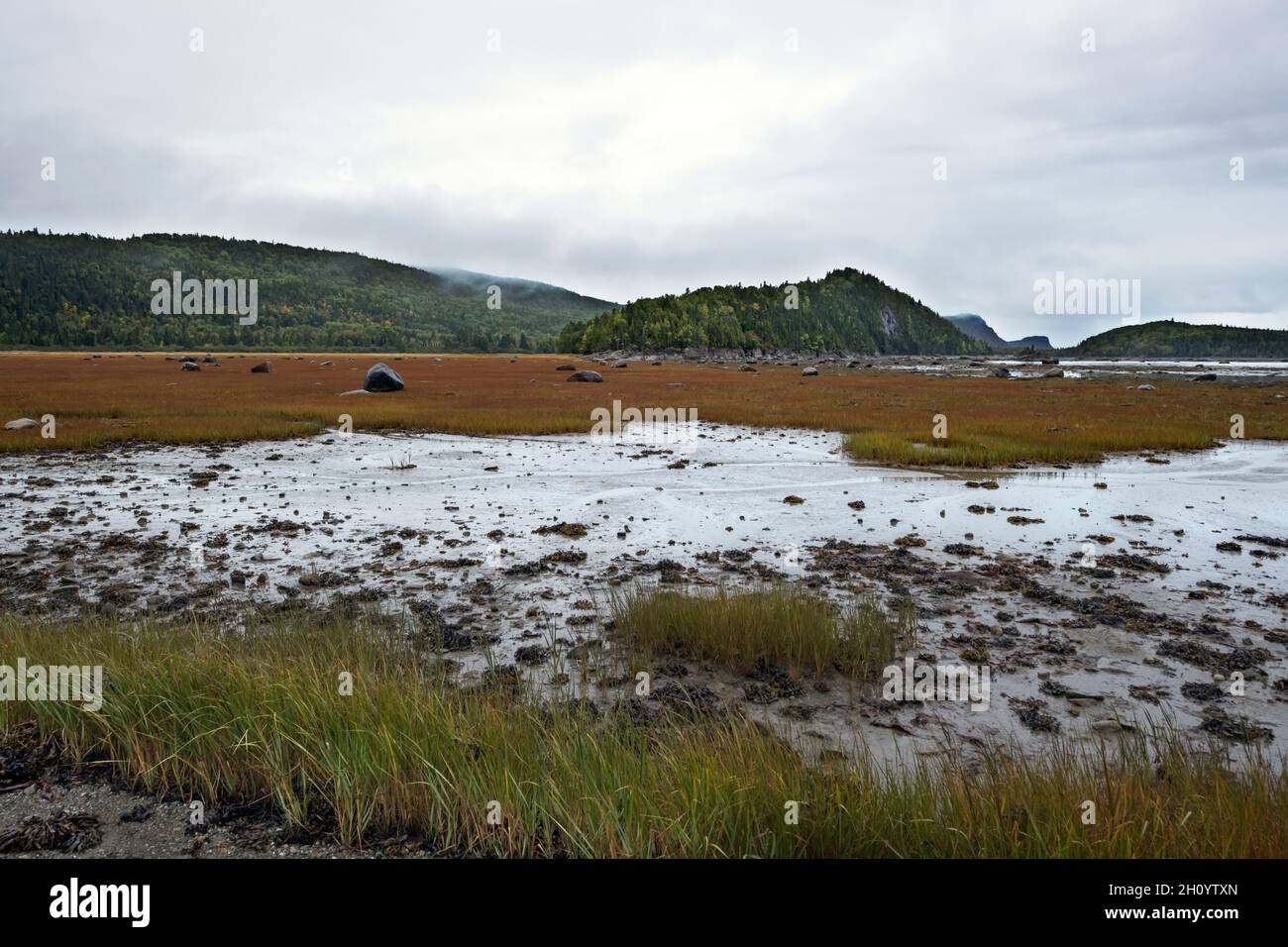 Canada, Quebec, BIC NP, bassa marea Foto Stock