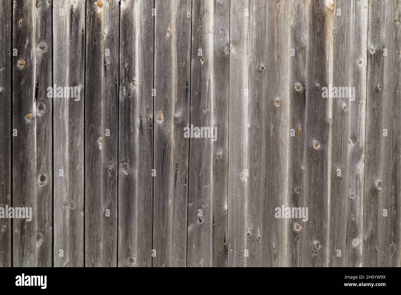 uno sfondo di legno rustico bello per i web site Foto Stock
