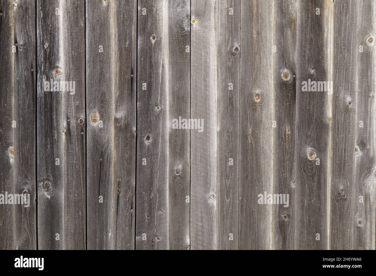 uno sfondo di legno rustico bello per i web site Foto Stock