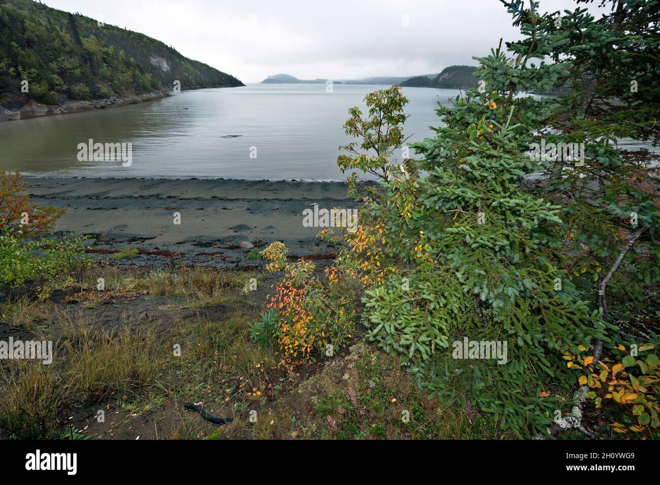 Canada, Quebec, BIC NP, paesaggio Foto Stock