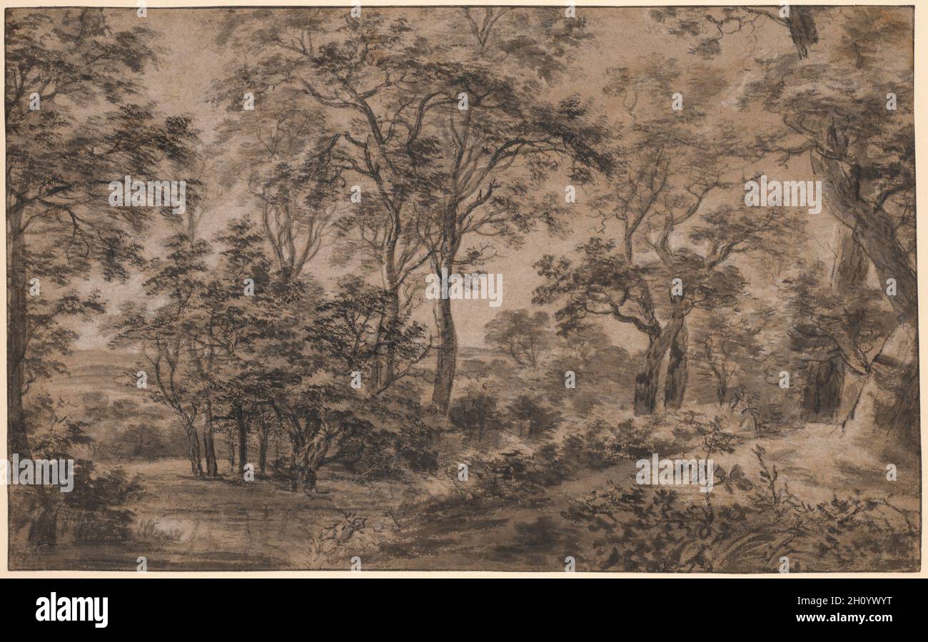 Paesaggio boscoso, dopo il 1648. Anthonie Waterloo (olandese, 1609/10-1690). Carbone applicato bagnato, spazzola e lavaggi in bianco e nero e marrone; linea di incorniciatura in inchiostro nero su carta anticato marrone; foglio: 28.8 x 46.3 cm (11 5/16 x 18 1/4 poll.). Conosciuta esclusivamente per i suoi disegni e le sue stampe, l'artista olandese Anthonie Waterloo si è specializzata in studi sugli alberi e scene di foresta densa come questo disegno. Qui creò una vista attraverso raggruppamenti di alberi alti, producendo l'effetto di luccicante luce e movimento con la sua tecnica unica di usare carbone umido su gesso asciutto. Aggiunse un sottile thro bianco Foto Stock