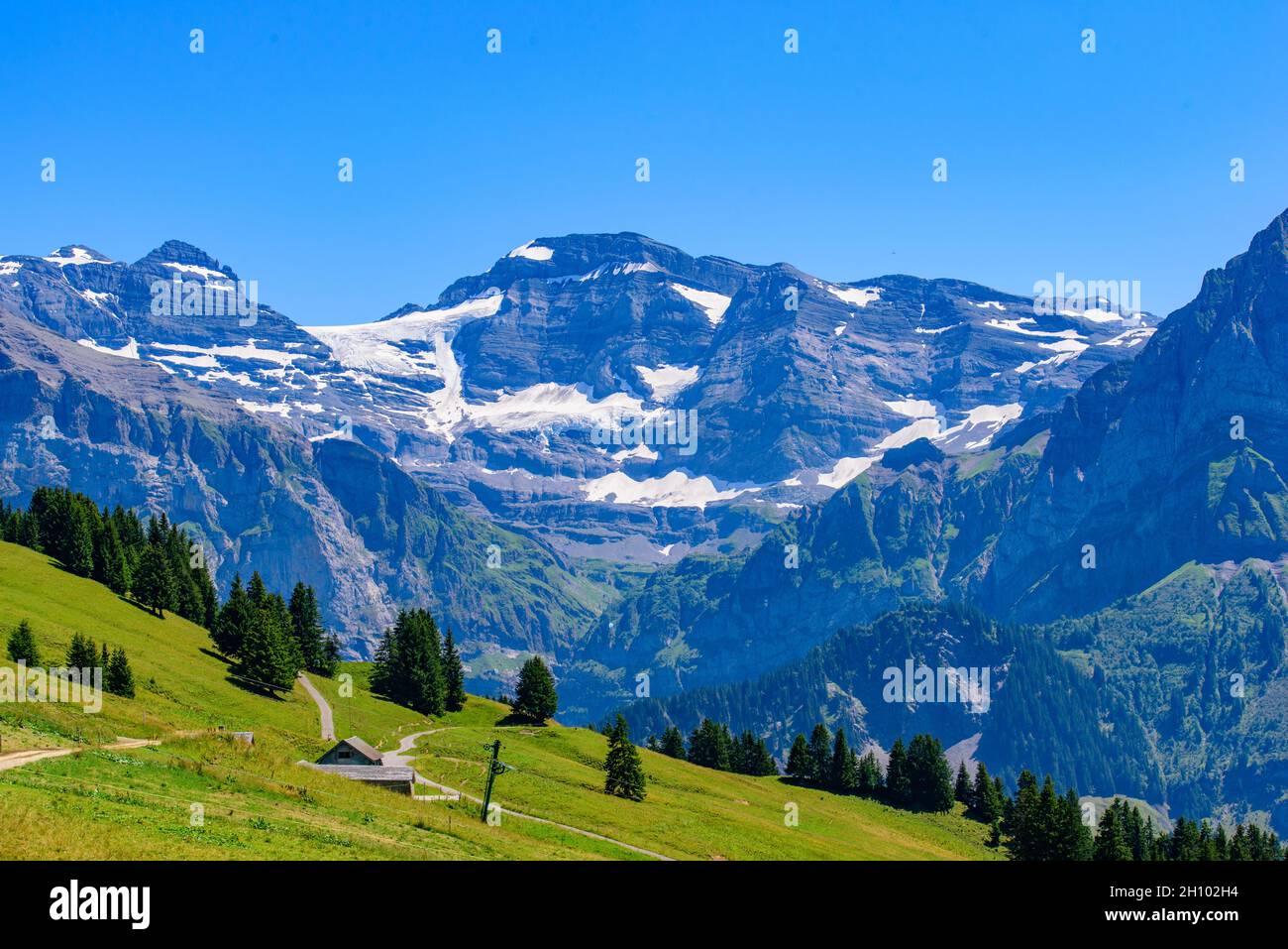 Paesaggio delle montagne delle Alpi in estate con prato verde a Portes du Soleil, Svizzera, Europa Foto Stock