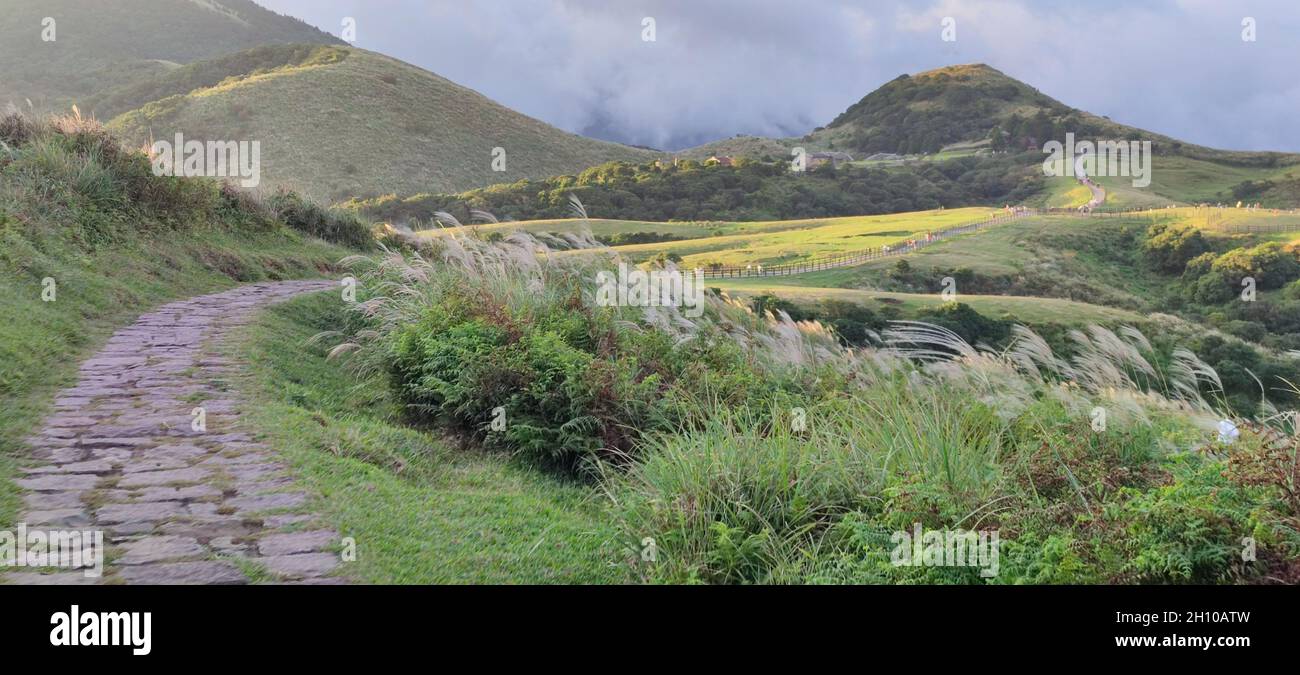 Qingtiangang, Taiwan-Ott 15, 2021: La fonte naturale di erbe alpine è a Shangshan nella città di Taipei, Taipei City, Taiwan Foto Stock