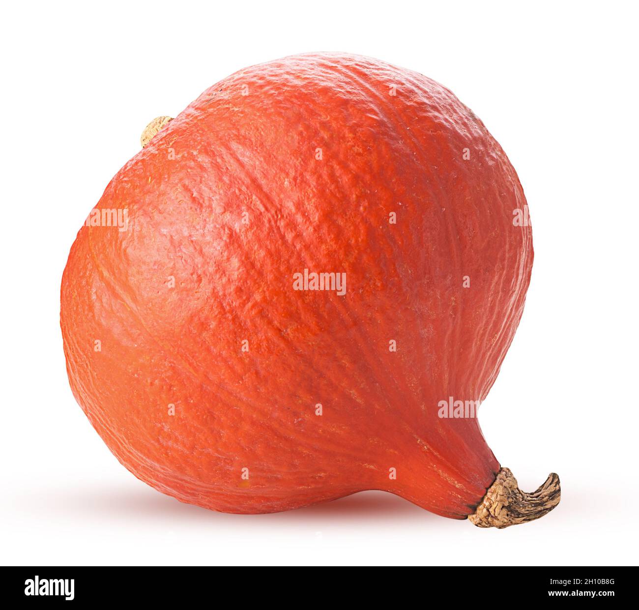 Zucca rossa fresca di hokkaido isolata su sfondo bianco. Tracciato di ritaglio. Profondità di campo completa. Foto Stock