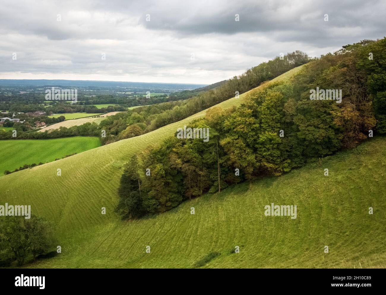 La piantagione Golden Jubilee della Regina Vittoria nel South Downs National Park vicino a Plumpton Foto Stock