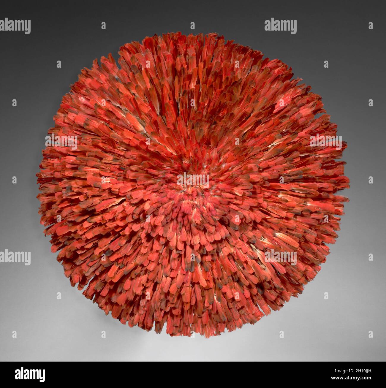 Headdress, 1900. Africa, Africa centrale, Camerun, Grassfields regione, Bamileke maker. Piume di pappagallo grigio africano, legno, fibra di pianta, probabilmente cotone, stringa, e colorante; diametro: 90 cm (35 7/16 poll.). Foto Stock