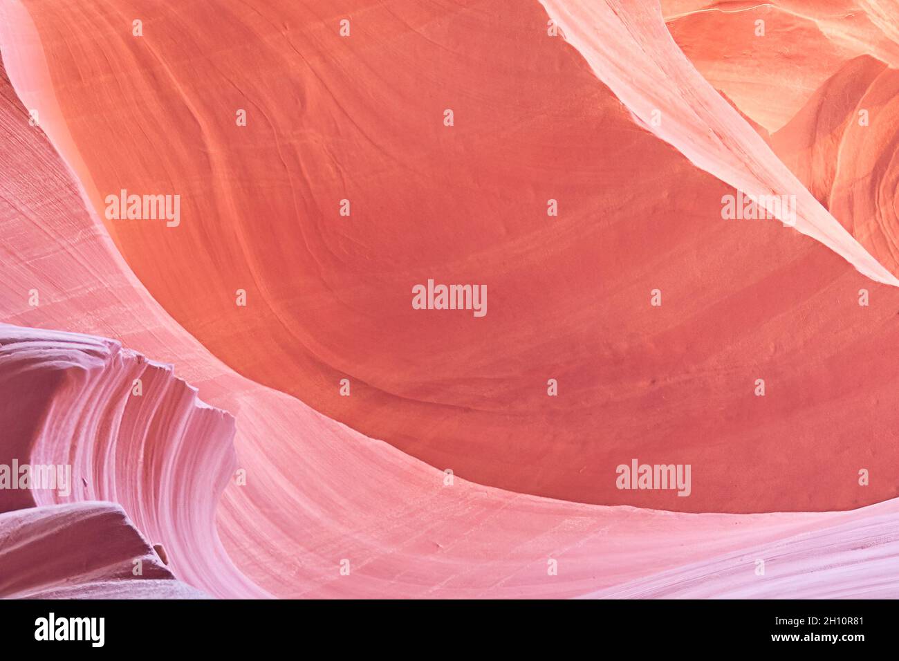 Viola, pietra arancione per sfondo Foto Stock