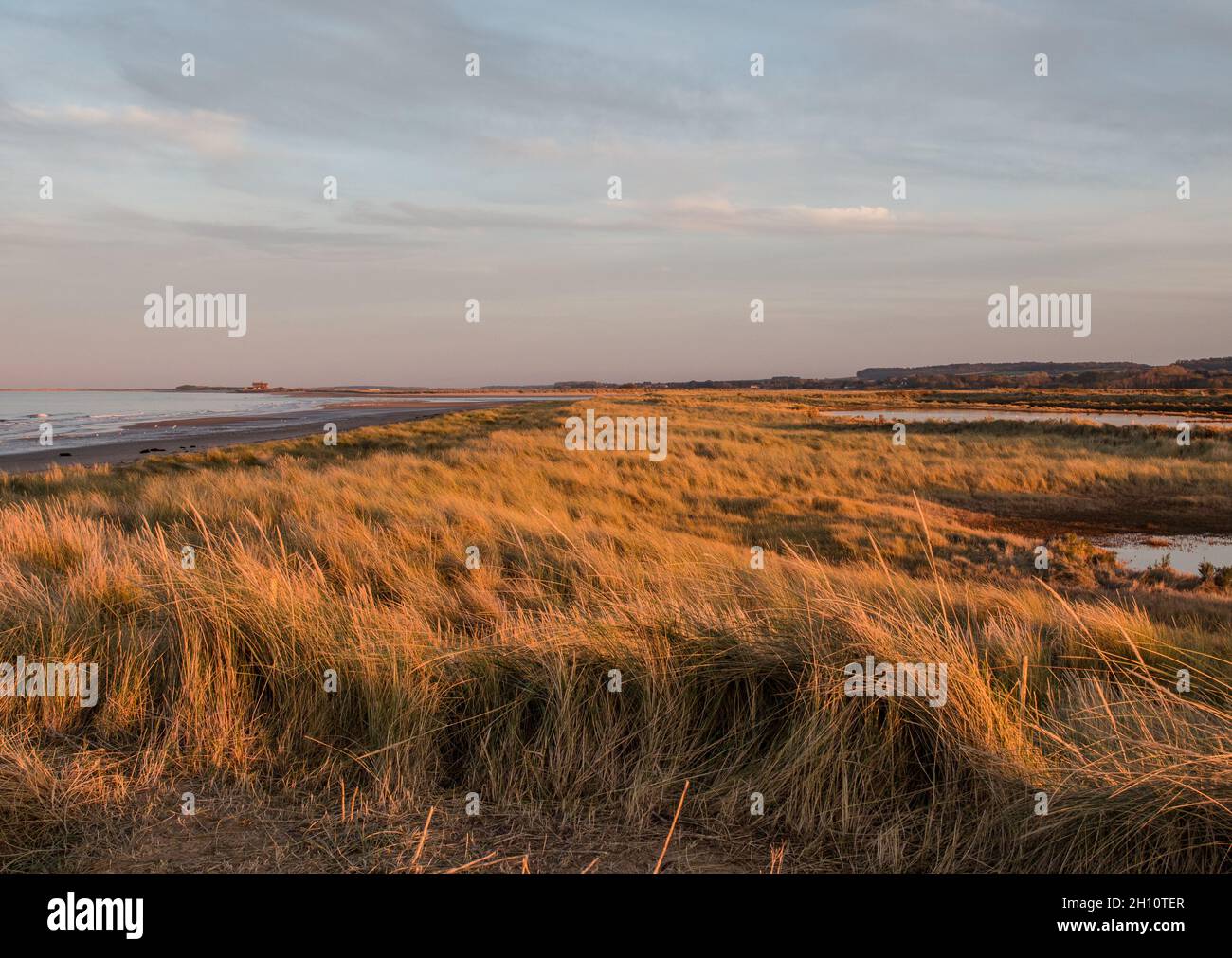 Una vista lungo la Costa Norfolk a Titchwell con le paludi e la striscia costiera. Norfolk, Regno Unito Foto Stock
