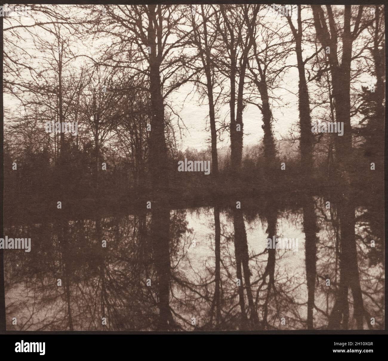 Alberi d'inverno riflessi in uno Stagno, 1841–42. William Henry Fox Talbot (britannico, 1800-1877). Carta salata stampata da calotipo negativo; immagine: 16.4 x 19.1 cm (6 7/16 x 7 1/2 pollici); carta: 19.8 x 24.8 cm (7 13/16 x 9 3/4 pollici); opaca: 40.6 x 50.8 cm (16 x 20 pollici). Foto Stock