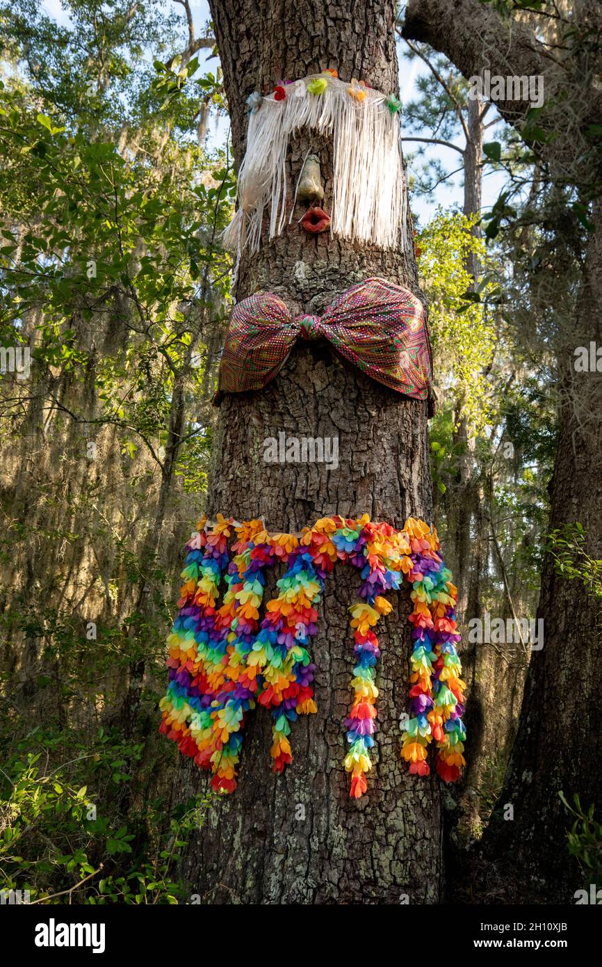 Hula Girl Tree - vicino a Edisto Island, Carolina del Sud, USA Foto Stock