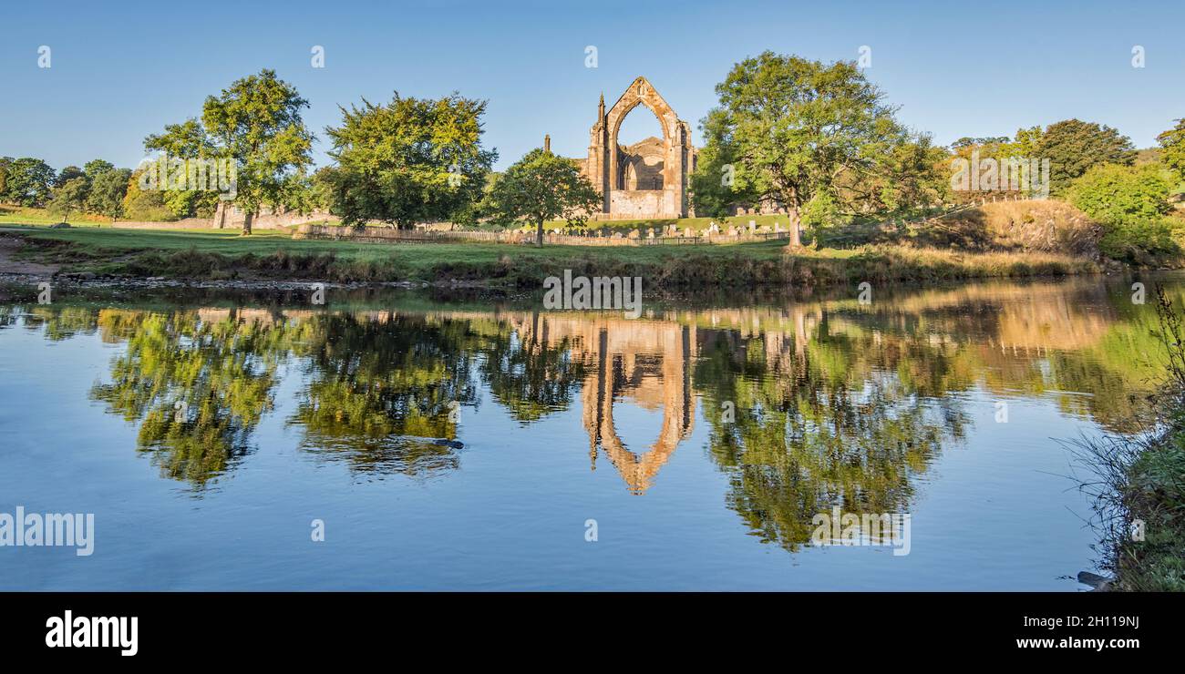 Sul Bolton Abbey Estate a Lower Wharfedale, Yorkshire Dales National Park Foto Stock