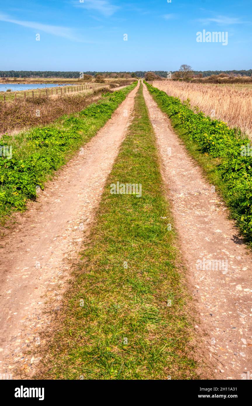 Un percorso rettilineo che attraversa le paludi al pascolo dietro la costa nord del Norfolk all'interno della zona di straordinaria bellezza naturale. Foto Stock