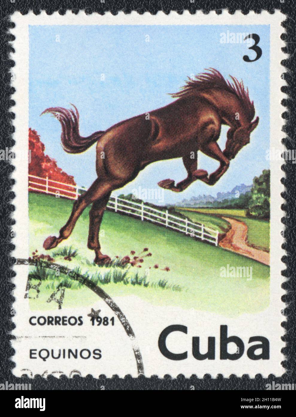 Francobollo stampato a Cuba mostra un cavallo marrone selvatico, circa 1981 Foto Stock