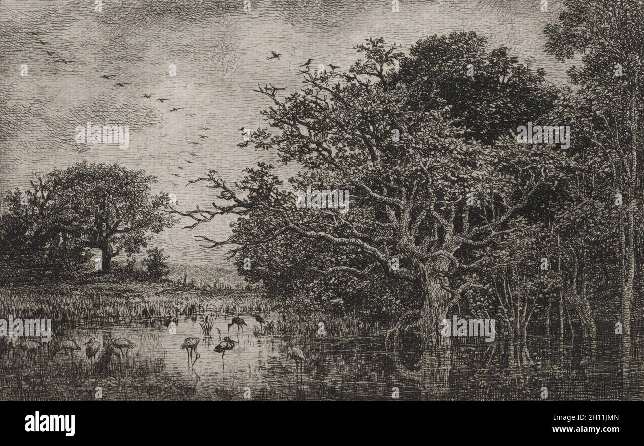 Pubblicato in "La gazette des Beaux-Arts" il 1 marzo 1874: La palude con cicogne, c. 1851. Charles François Daubigny (Francese, 1817-1878), Auguste Delâtre (2° membro); A. Salmone (stato 6). Incisione; foglio: 31,2 x 45,1 cm (12 5/16 x 17 3/4 in.); platemark: 15,2 x 21,6 cm (6 x 8 1/2 in.). Foto Stock