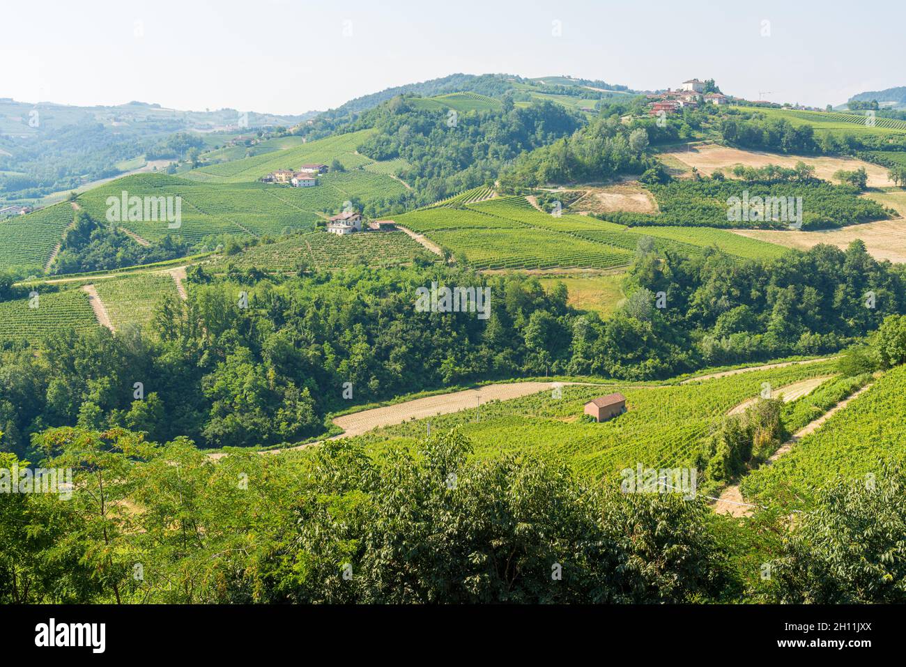 Il bellissimo borgo di Castiglione Falletto e i suoi vigneti, nella regione delle Langhe del Piemonte. Foto Stock