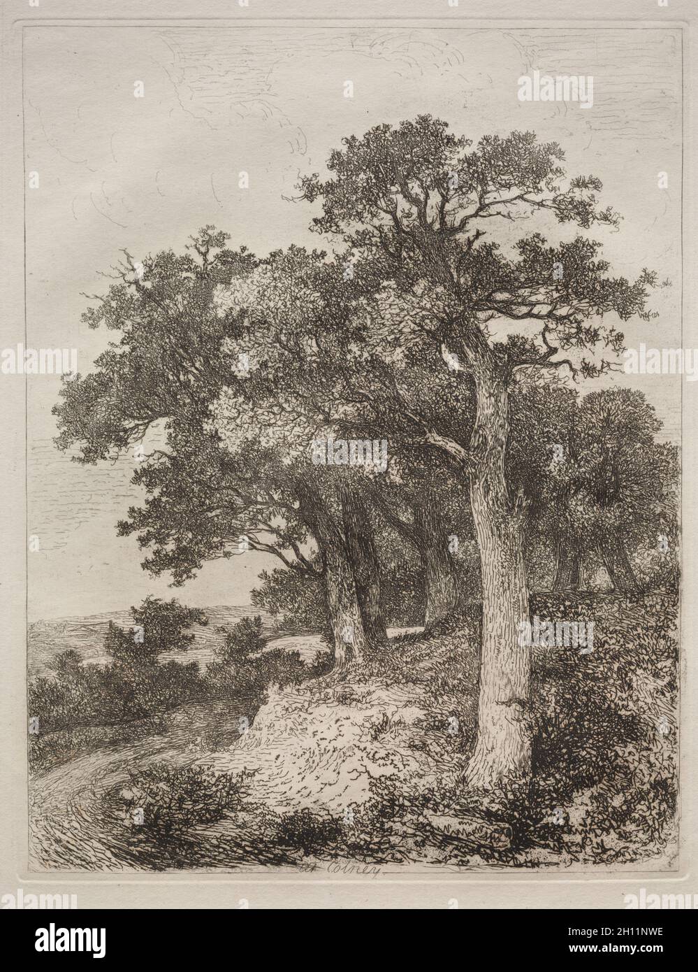 A Colney. John Crome (britannico, 1768-1821). Incisione; Foto Stock