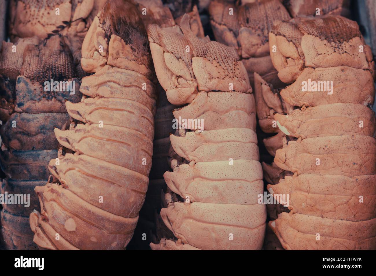 Scatola decorativa piena di coda di aragosta secca all'ingresso di un ristorante. Foto Stock