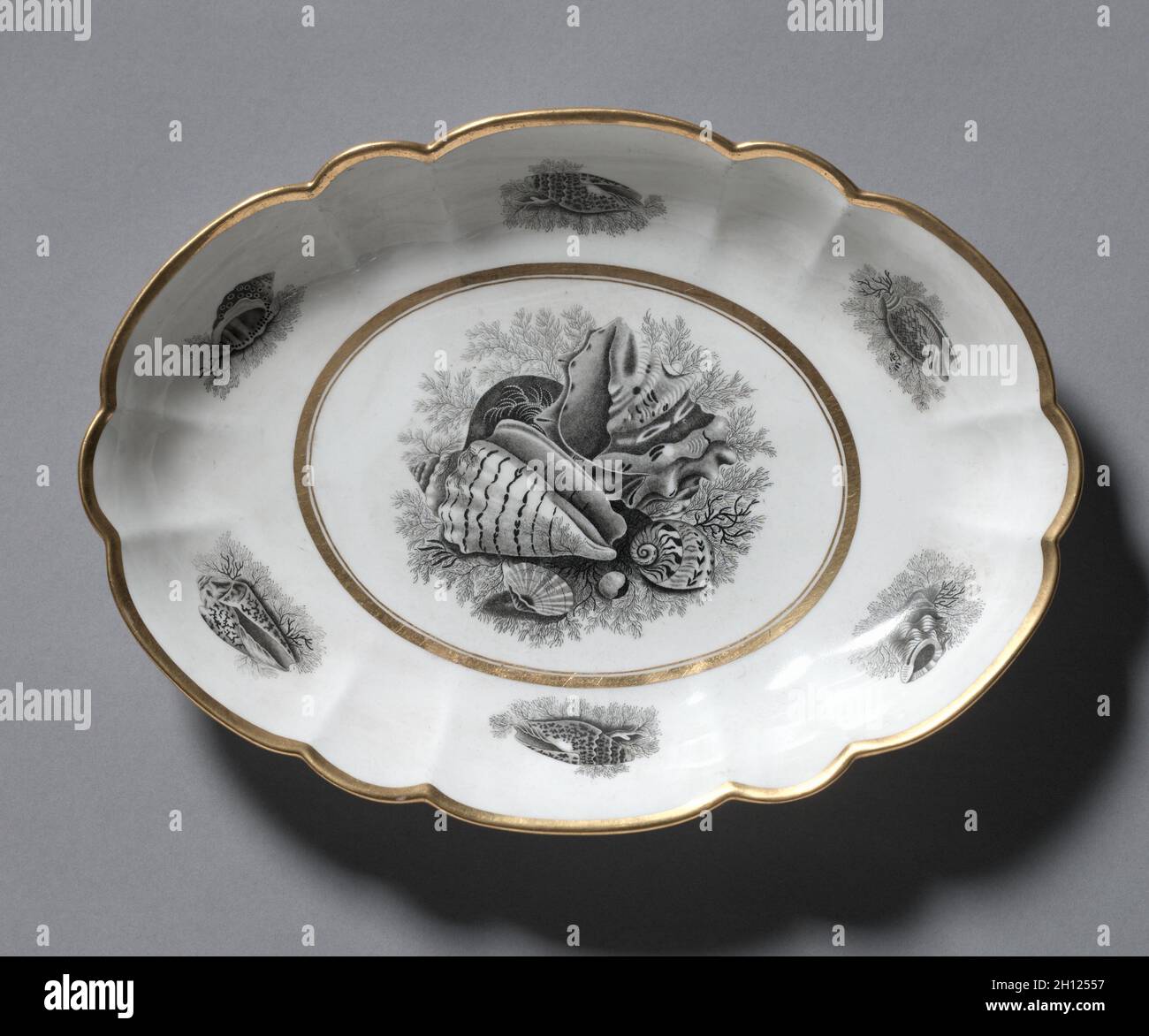 Piatto ovale, 1807-1813. Barr, volo & Barr (britannico). Porcellana; complessivo: 28,3 x 20,4 cm (11 1/8 x 8 1/16 in.). Foto Stock