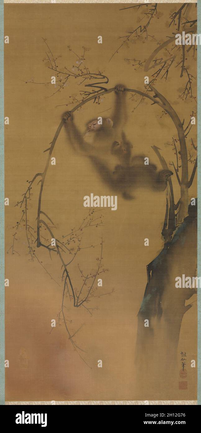 Scimmie in un albero di Cerry, c.. 1800-1821. Mori Sosen (Giapponese, 1747-1821). Rotolo sospeso, montato e incorniciato, inchiostro e colore su seta; incorniciato: 121.7 x 63.5 cm (47 15/16 x 25 poll.); totale: 110.5 x 53.4 cm (43 1/2 x 21 poll.); con bordi: 115.5 x 57 cm (45 1/2 x 22 7/16 poll.). Foto Stock