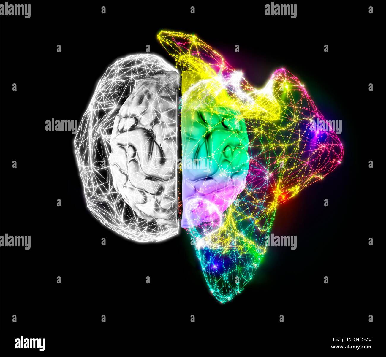 Emisferi cerebrali del cervello umano, illustrazione Foto Stock