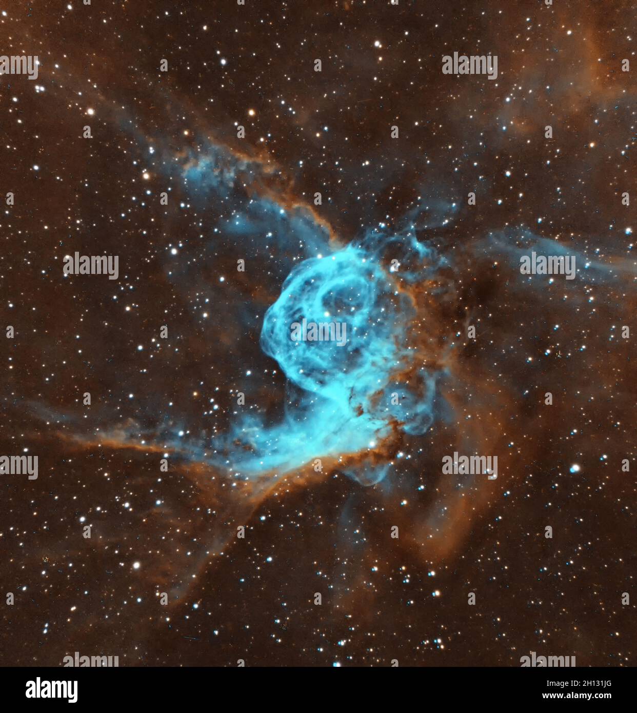 NGC 2359 (noto anche come casco di Thor) è una nebulosa di emissione nella costellazione Canis Major. La stella centrale è la stella Wolf-Rayet WR7. Foto Stock