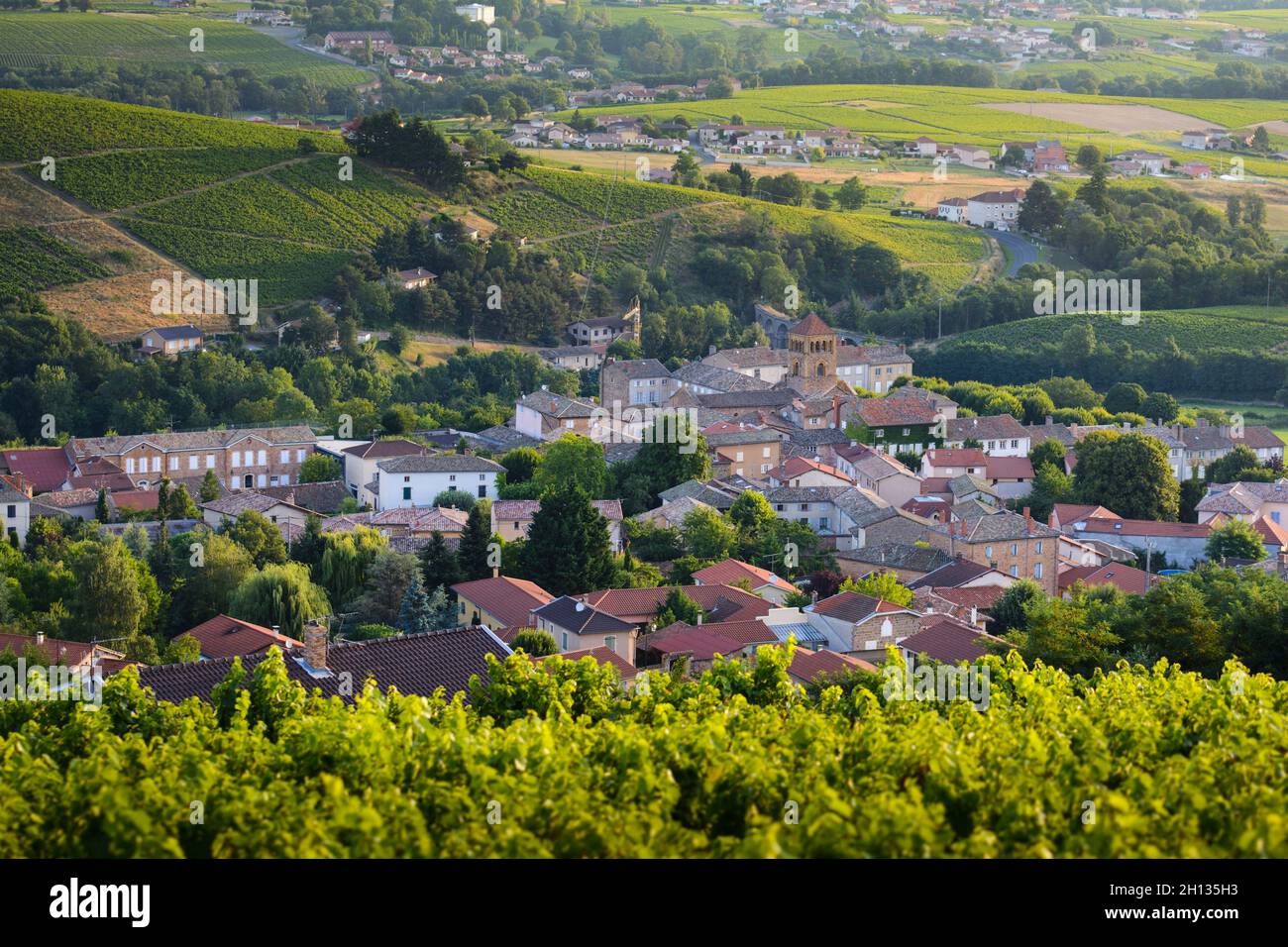 Villaggio di Salles Arbuissonnas nel Beaujolais terra, Francia Foto Stock