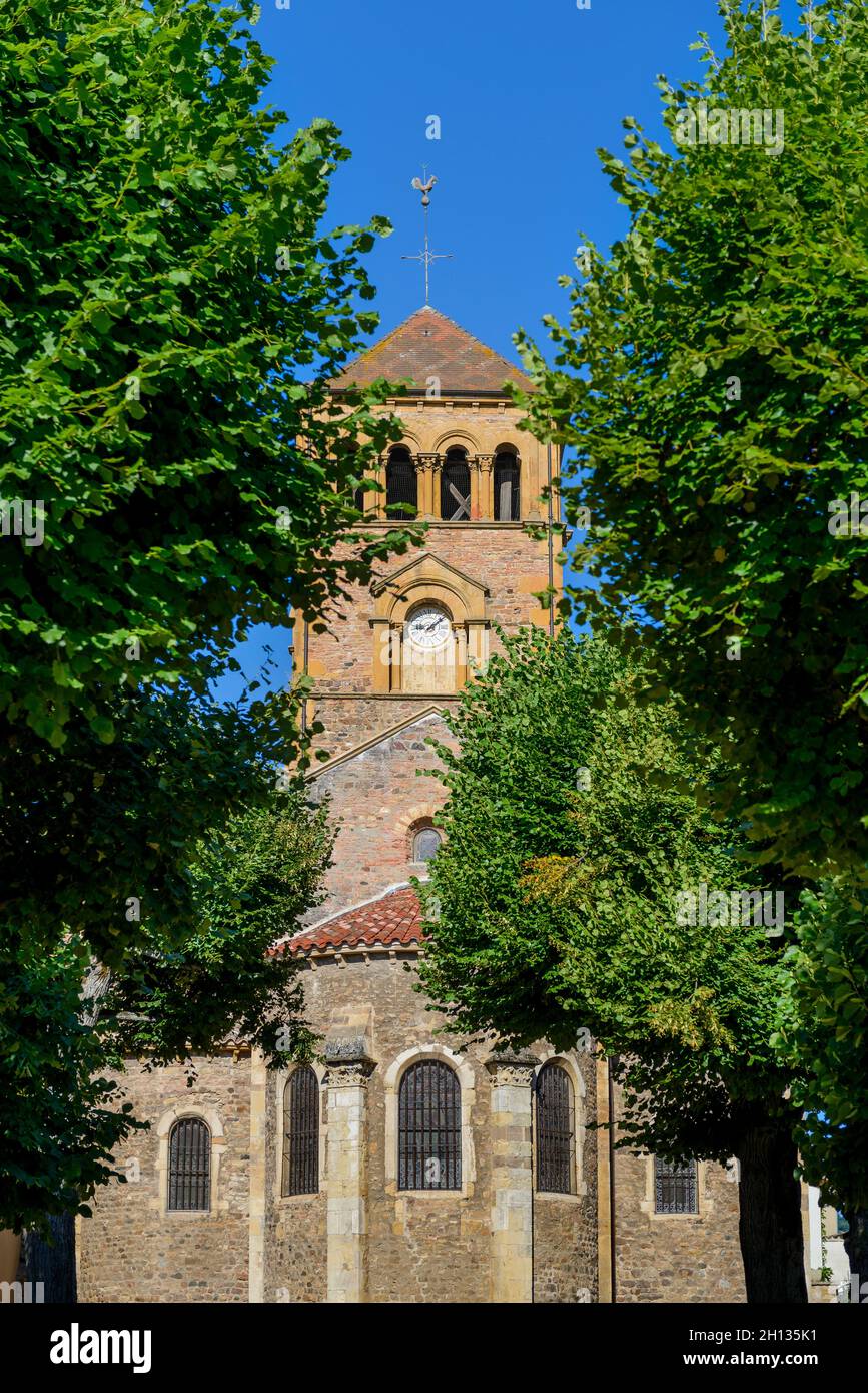 Eglise de Salles Arbuissonnas et alentours, Beaujolais Foto Stock