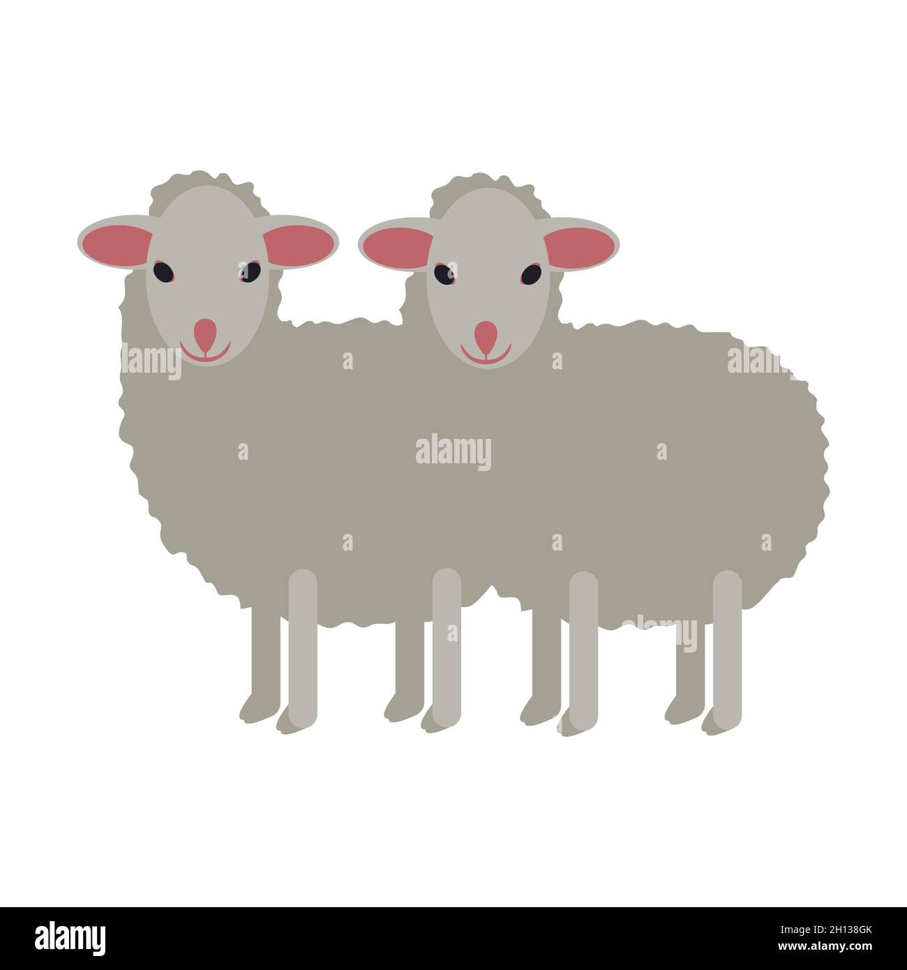 Due piccole pecore bianche isolate Illustrazione Vettoriale