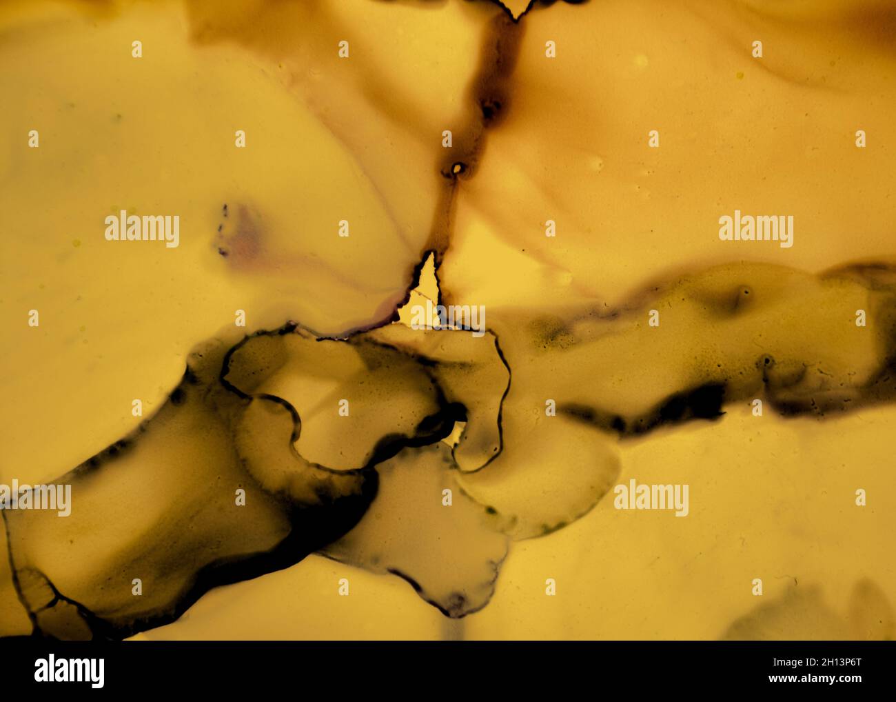 Motivo acrilico astratto nero e giallo. Grigio Foto Stock