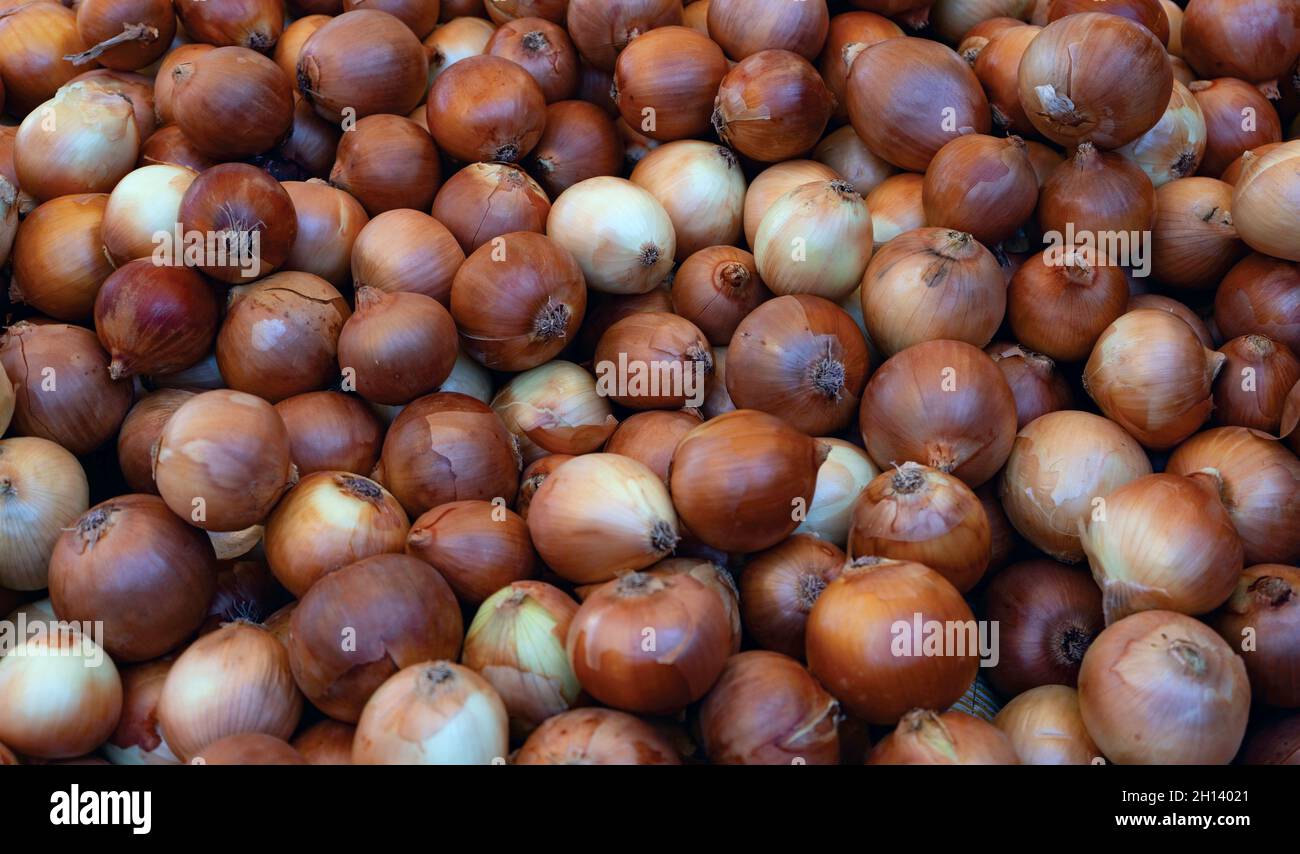 Il cibo vero dietro l'altro: Cipolle marroni e gialle. Scatto orizzontale. Primo piano Foto Stock